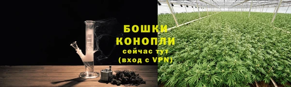 mdpv Ельня