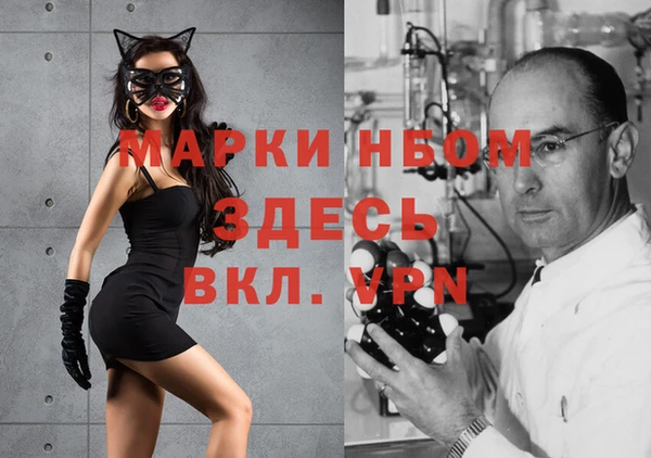 mdpv Ельня