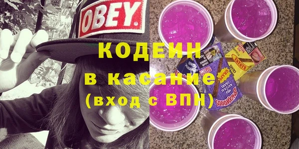 шишки Дмитровск