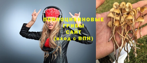 ALPHA-PVP Бутурлиновка
