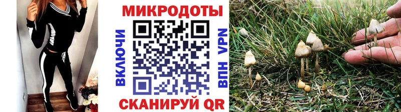 Галлюциногенные грибы MAGIC MUSHROOMS  Заринск 